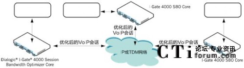 企業(yè) VoIP 會(huì )話(huà)優(yōu)化